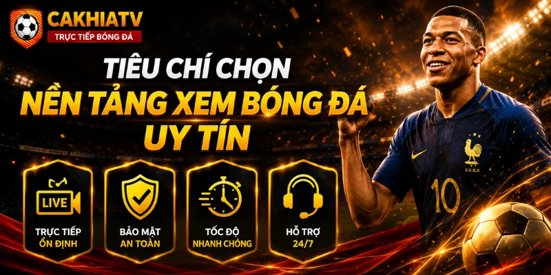 Các tiêu chí quan trọng khi chọn trang cá độ bóng đá
