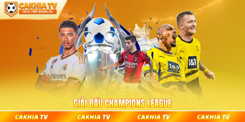 Giải đấu Champions League quy tụ các đội bóng hàng đầu