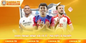 Odds trong bóng đá là gì